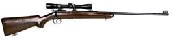 Buy 22 Norinco JW-15A Blued Wood 22.5"  with Scope in NZ New Zealand.