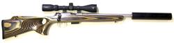 Buy 17 hmr CZ 455 Stainless Laminate with Scope & Silencer in NZ New Zealand.