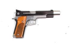 Buy 45ACP Smith & Wesson 645 in NZ New Zealand.