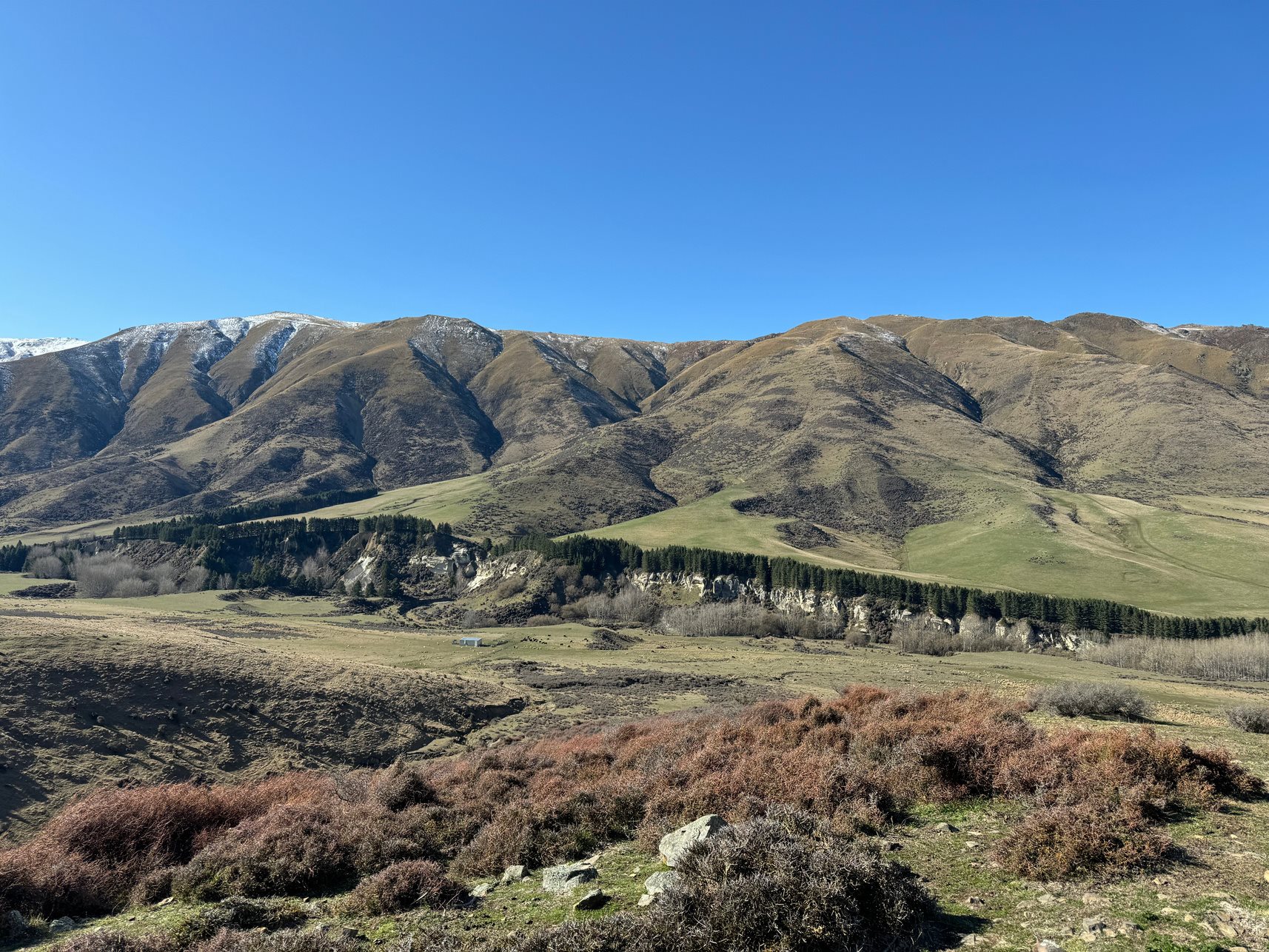 farmland air rifle shooting and rules