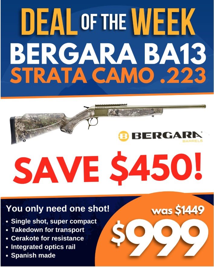 bergara.jpg