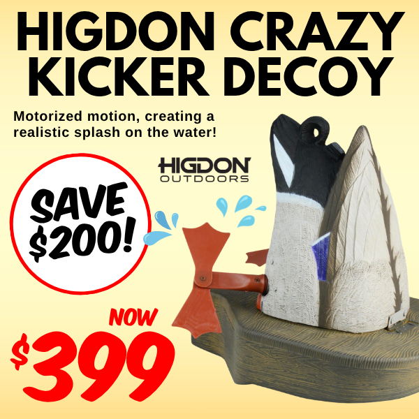 higdon crazy kicker 17_04 hp square.png