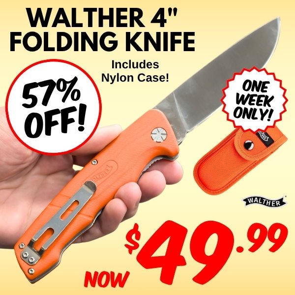 walther hbf2 15_05 hp square.jpg