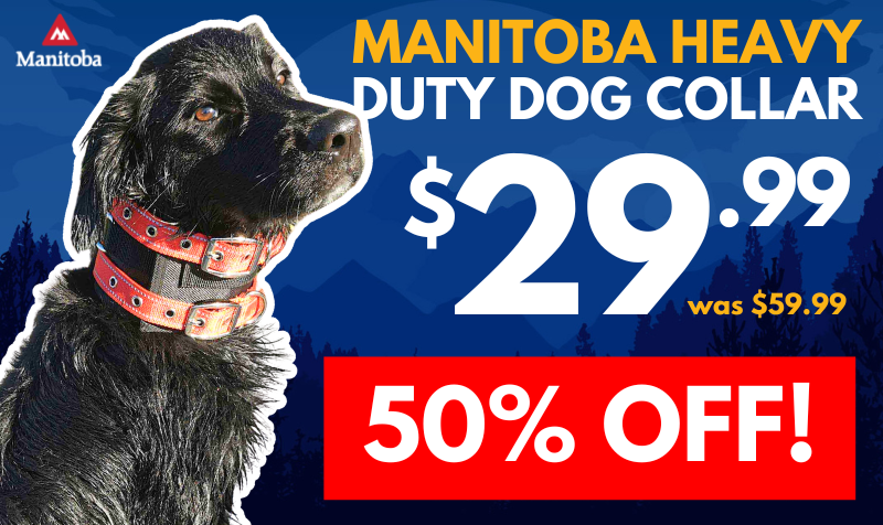 https://www.guncity.com/manitoba-pig-dog-hunting-lightweight-rip-collar-heavy-duty-protection-372155
