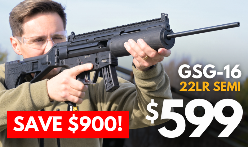 https://www.guncity.com/?q=22SA-231