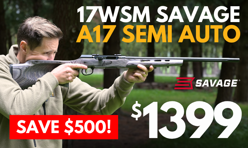 https://www.guncity.com/-358939