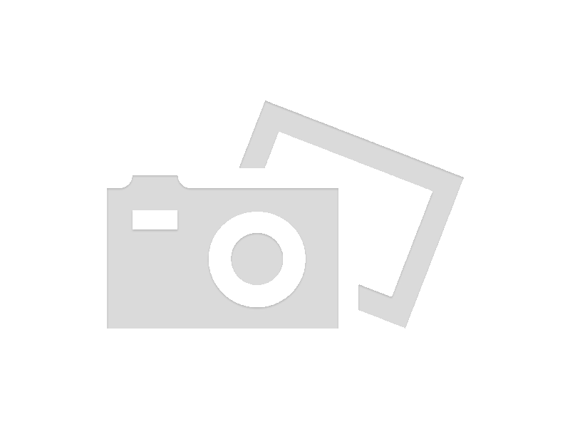 Thermal view showing warm animal against cool background