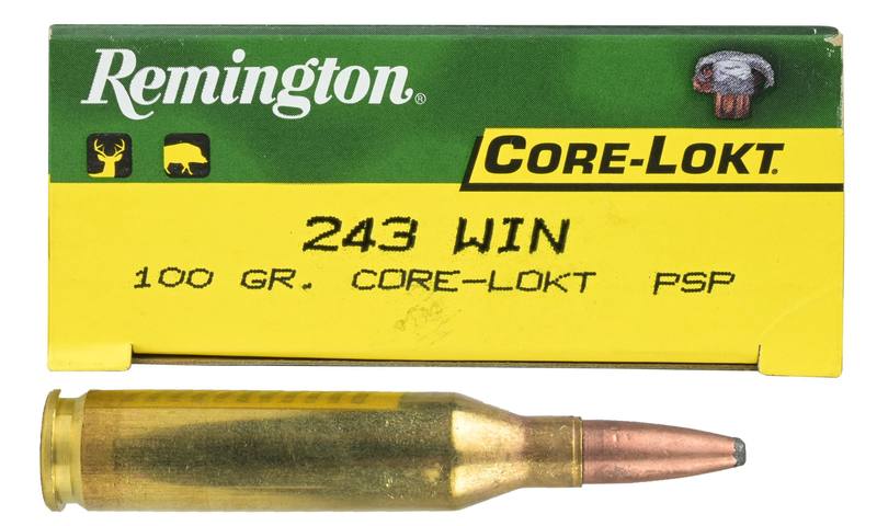 Buy Remington 243 Express 100gr Soft Point Core Lokt in NZ New Zealand.