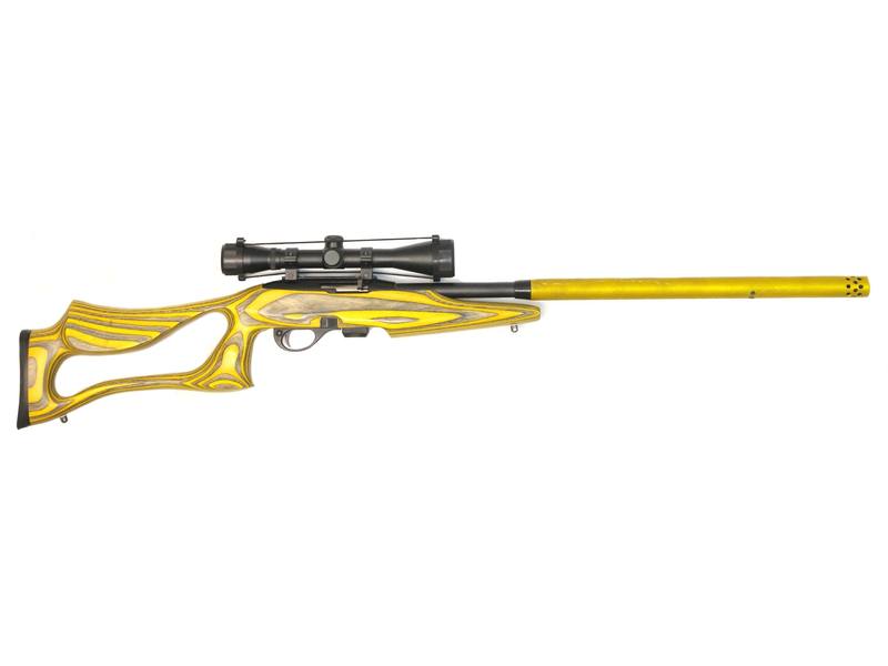 Buy 22LR Remington 597 Blued Laminated 18.5" Threaded in NZ New Zealand.