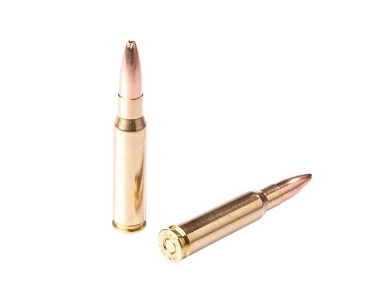 Buy Fiocchi 308 165gr Hollow Point Boat Tail Sierra Game King ZetaPi Lead Free in NZ New Zealand.