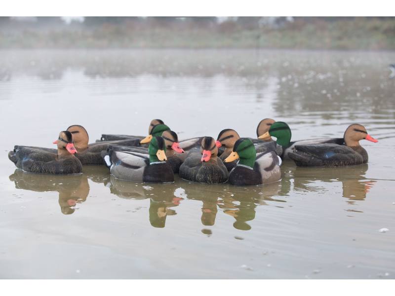 Buy Game On Full Size Flocked Mallard Decoy Family: 12-Pack in NZ New Zealand.