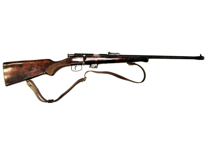Buy 22 TOZ 03-17 Blued Wood 18" in NZ New Zealand.