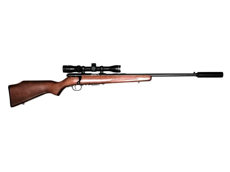 Buy 22 Mag Savage 93 Blued Wood 20" with Scope and Silencer in NZ New Zealand.