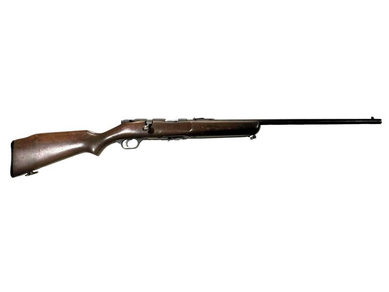 Buy 22 Savage 4C Blued Wood 24" in NZ New Zealand.