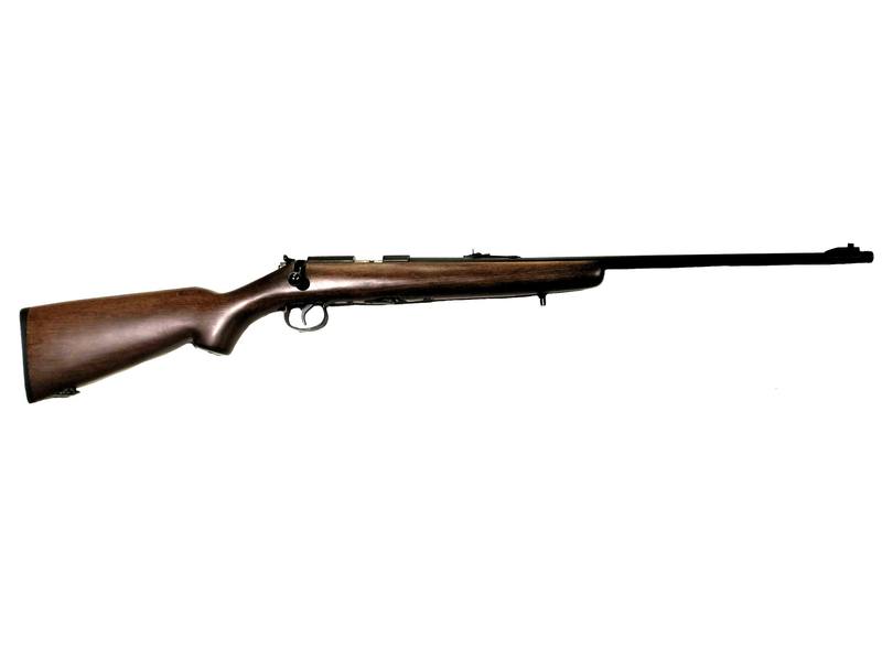 Buy 22 Norinco JW15A Blued Wood 24" in NZ New Zealand.