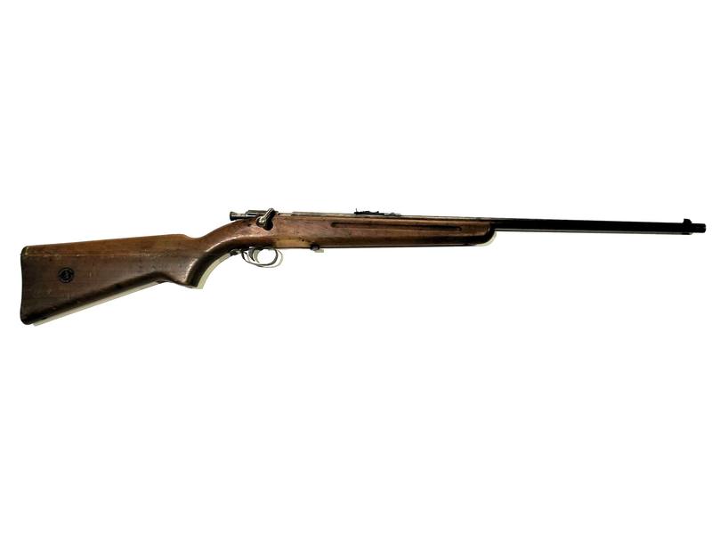 Buy 22 Lithgow MOD1 Blued Wood 24" in NZ New Zealand.