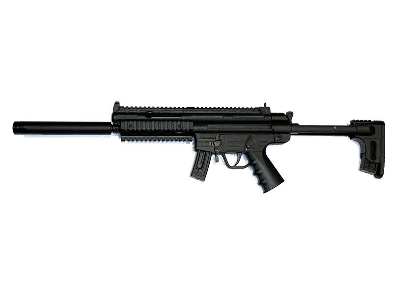 Buy 22 GSG GSG-16 Synthetic 10 Round in NZ New Zealand.