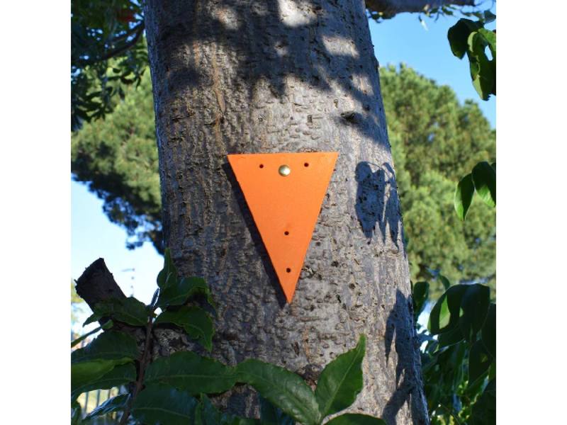 Buy Triangle Orange Trail Markers | 10 Pack in NZ New Zealand.