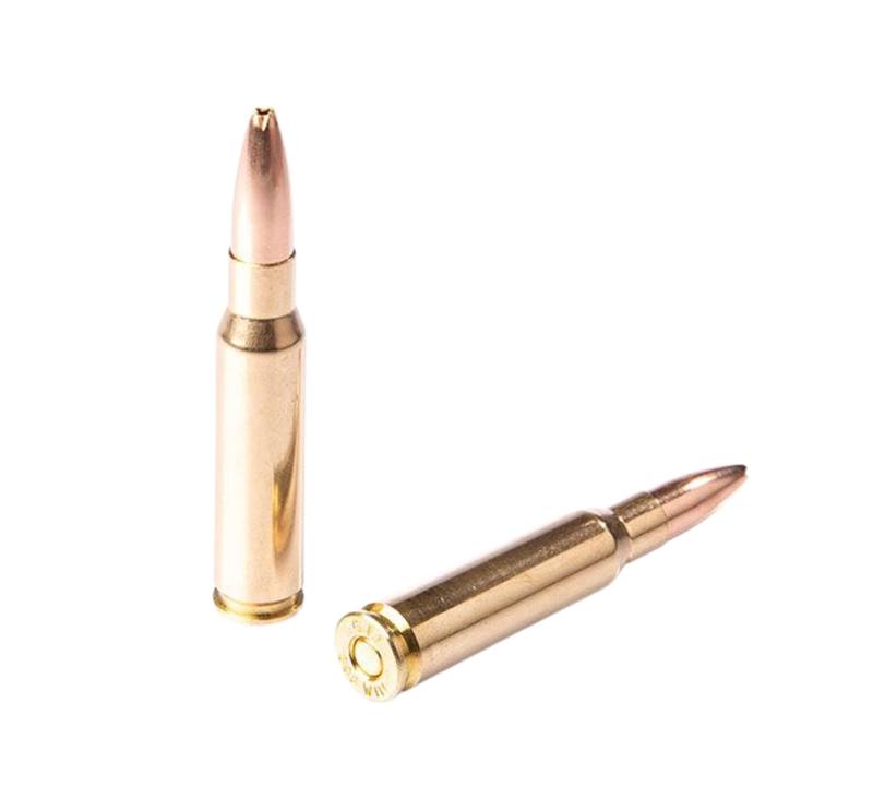 Buy Fiocchi 308 165gr Hollow Point Boat Tail Sierra Game King ZetaPi Lead Free 20 Rounds in NZ New Zealand.