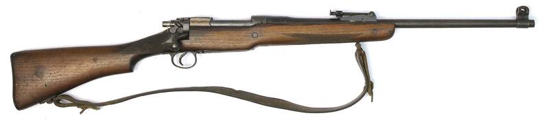 Buy 30-06 Sport Eddystone 1917 21" in NZ New Zealand.
