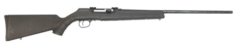 Buy 17Hmr Savage A17 Blued/Synthetic 20.5" Threaded in NZ New Zealand.
