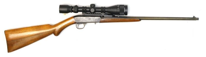 Buy 22 Browning SA-22 Takedown Blued Wood in NZ New Zealand.