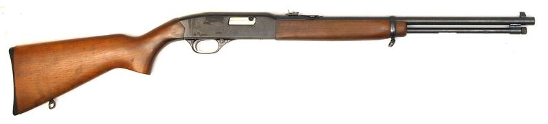 Buy 22 Winchester 190 Blued Wood in NZ New Zealand.