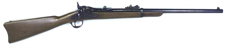 Buy 45-70 Gov Pedersoli in NZ New Zealand.
