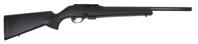 Buy 22 Mag Remington 597 in NZ New Zealand.