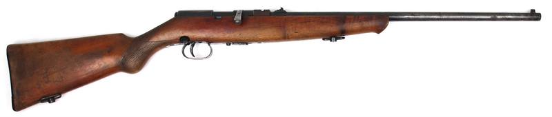Buy 22 Beretta Sport 20" in NZ New Zealand.