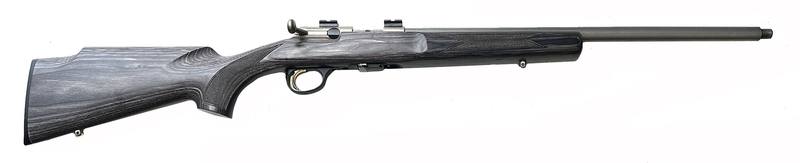 Buy 22 Browning T-Bolt Stainless Laminate Threaded in NZ New Zealand.