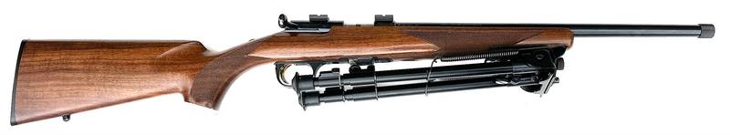 Buy 22 Browning T-Bolt Blued Wood Threaded in NZ New Zealand.