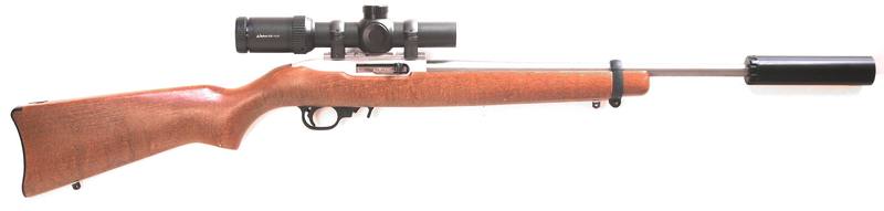 Buy 22 Ruger 10/22 Stainless/Wood with Scope and Silencer in NZ New Zealand.