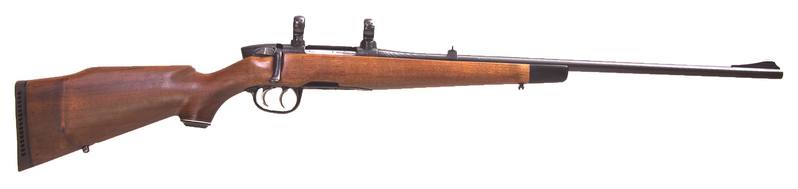 Buy 243 Steyr Model L 22" Blued Wood in NZ New Zealand.