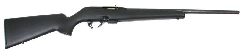 Buy 22MAG Remington 597 in NZ New Zealand.