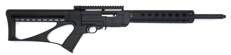 Buy 22 Ruger 10/22 SR-22 Threaded in NZ New Zealand.