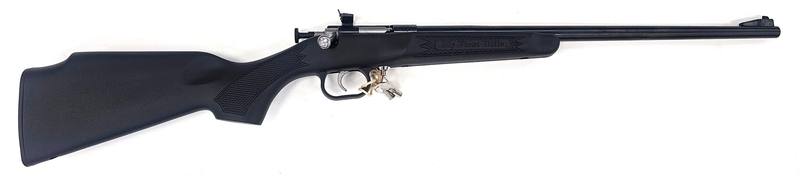 Buy 22 Crickett 16" in NZ New Zealand.