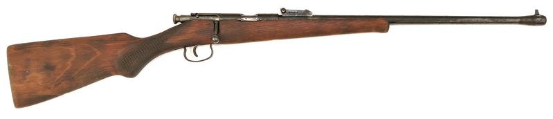 Buy 22 TOZ 16 Blued Wood 19.5" in NZ New Zealand.