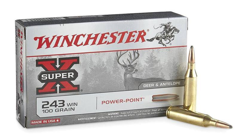 Buy Winchester 243 Super-X 100gr Soft Point in NZ New Zealand.