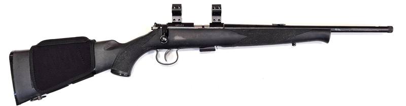 Buy 22 Outdoor Arms JW15s Synthetic 17" Threaded in NZ New Zealand.