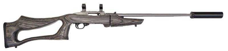 Buy 22 Ruger 10/22 Takedown 17" Stainless Laminate in NZ New Zealand.