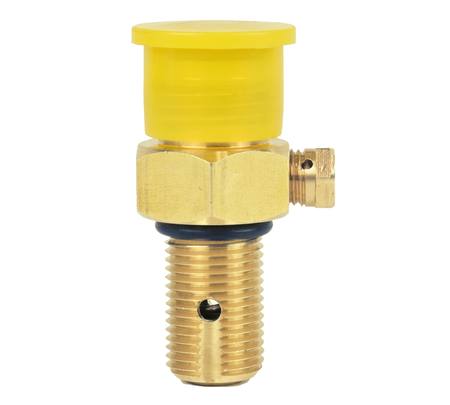 Buy Paintball Cylinder/Bottle Gas Valve in NZ. 