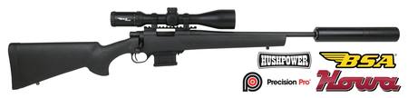 Buy 223 Howa 1500 MiniAction with BSA Genesys 2.5-15X50 & Ghost Modular Baffle Silencer in NZ. 