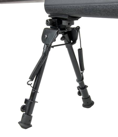 Buy zoomimg online in New Zealand.