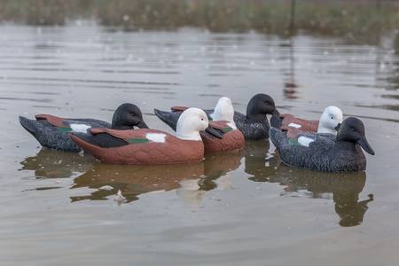 Buy Game On Premier Series Paradise Duck Swimming Decoy Family: 6-Pack in NZ. 