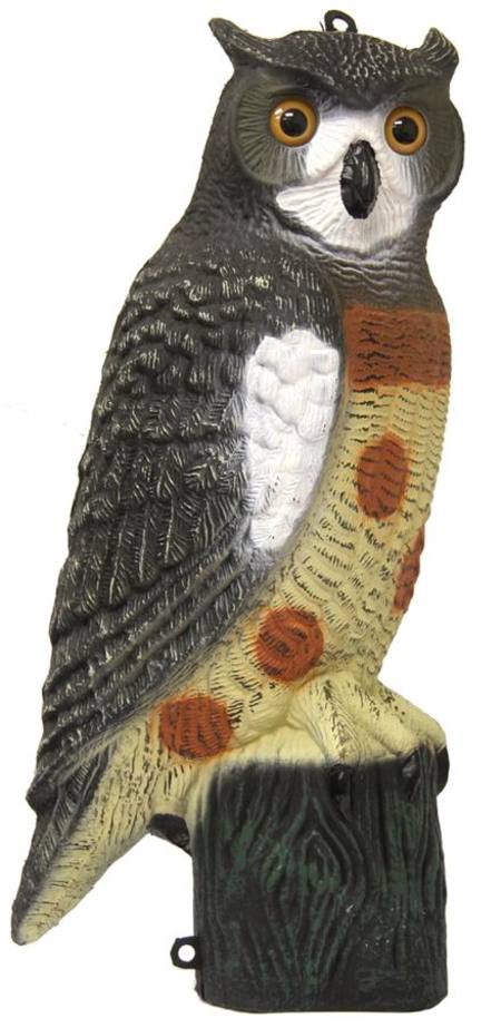 Buy Outdoor Outfitters Owl Decoy Large – Bird Scaring/Magpie Attractor in NZ.