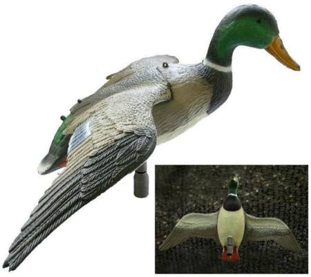 Buy Outdoor Outfitters 25" Flying Mallard Duck Decoy Male in NZ. 