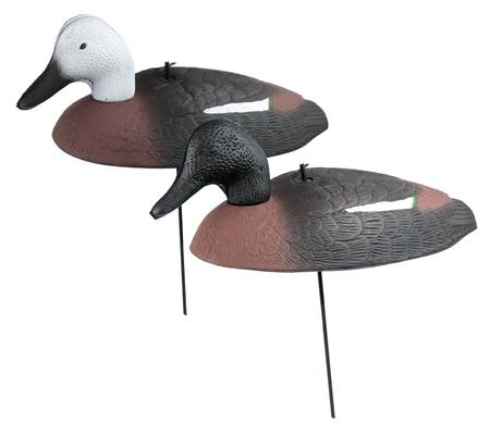 Buy Outdoor Outfitters Paradise Decoy Foam Shells with Heavy Stakes: 12-Pack in NZ.