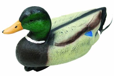 Buy zoomimg online in New Zealand.