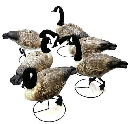 Buy Game On 25" Canada Goose Pro Grade Decoys with Flocked Heads: 6-Pack in NZ. 